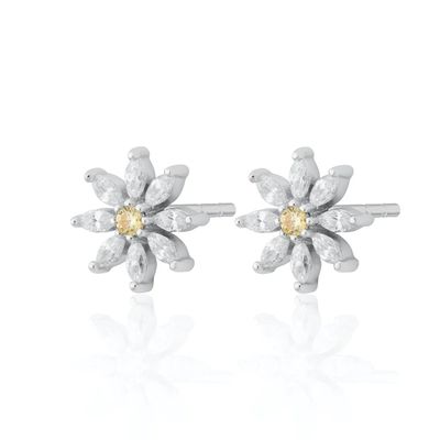 925 Sterling Silver 18K Gold Plated Flower Design Stud Earrings con taglio marchesino e impostazione di artigli