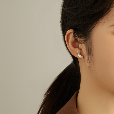 Orecchini in zirconia cubica per donne accessori