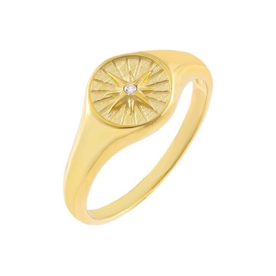 Anello di sigillo in argento sterling donna 18K oro anelli di sigillo donna