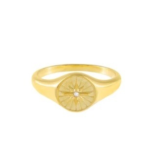 Anello di sigillo in argento sterling donna 18K oro anelli di sigillo donna