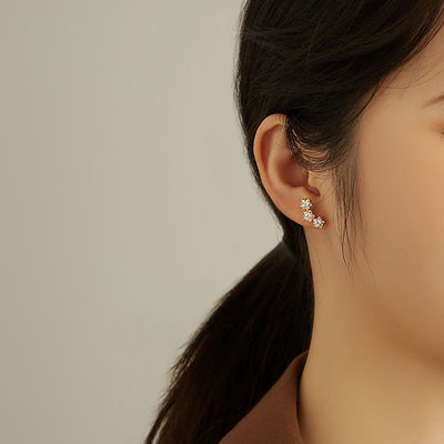 Orecchini in zirconia cubica per donne accessori